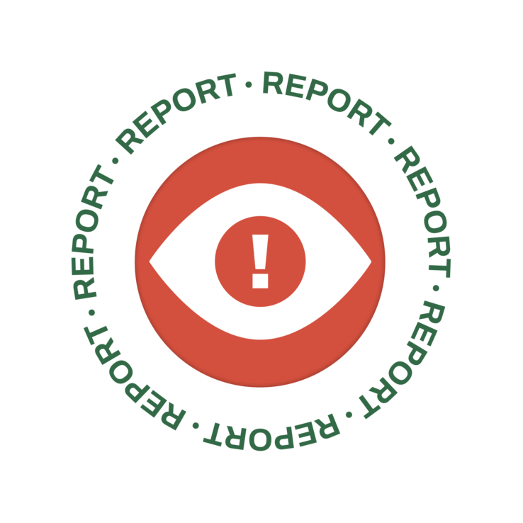 Report-Button