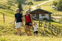 <font size=-5>&copy; TV München-Oberbayern</font>