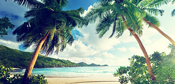 © Iakov Kalinin - fotolia