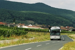 <font size=-5>©  BDO</font>